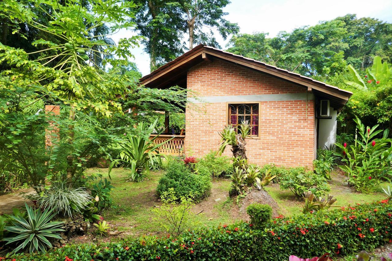 Escape Caribeno Hotel Puerto Viejo de Talamanca Ngoại thất bức ảnh