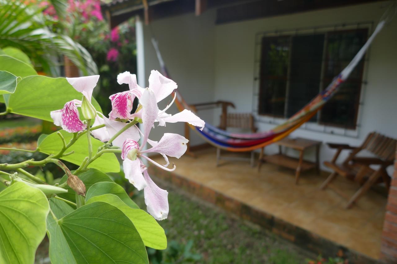 Escape Caribeno Hotel Puerto Viejo de Talamanca Ngoại thất bức ảnh