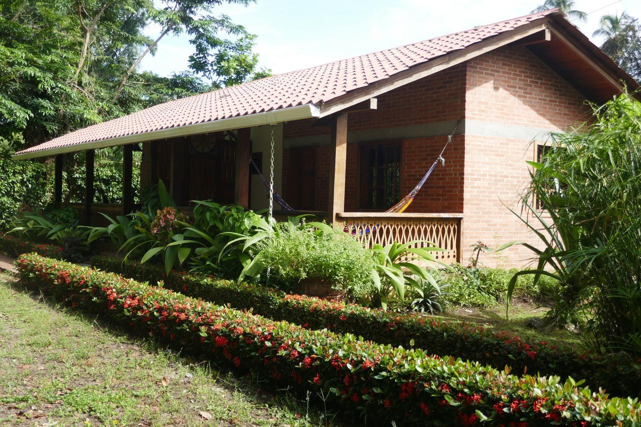 Escape Caribeno Hotel Puerto Viejo de Talamanca Ngoại thất bức ảnh