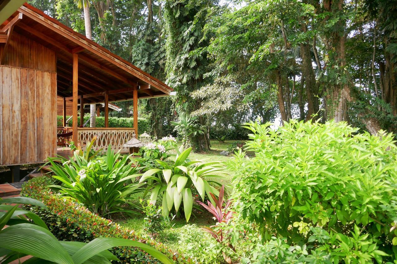 Escape Caribeno Hotel Puerto Viejo de Talamanca Ngoại thất bức ảnh