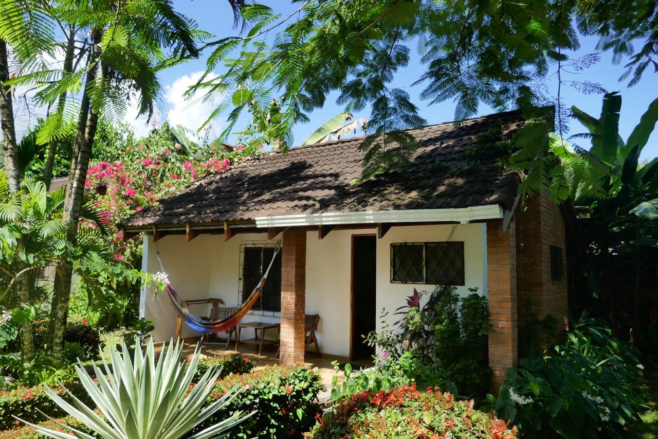 Escape Caribeno Hotel Puerto Viejo de Talamanca Ngoại thất bức ảnh