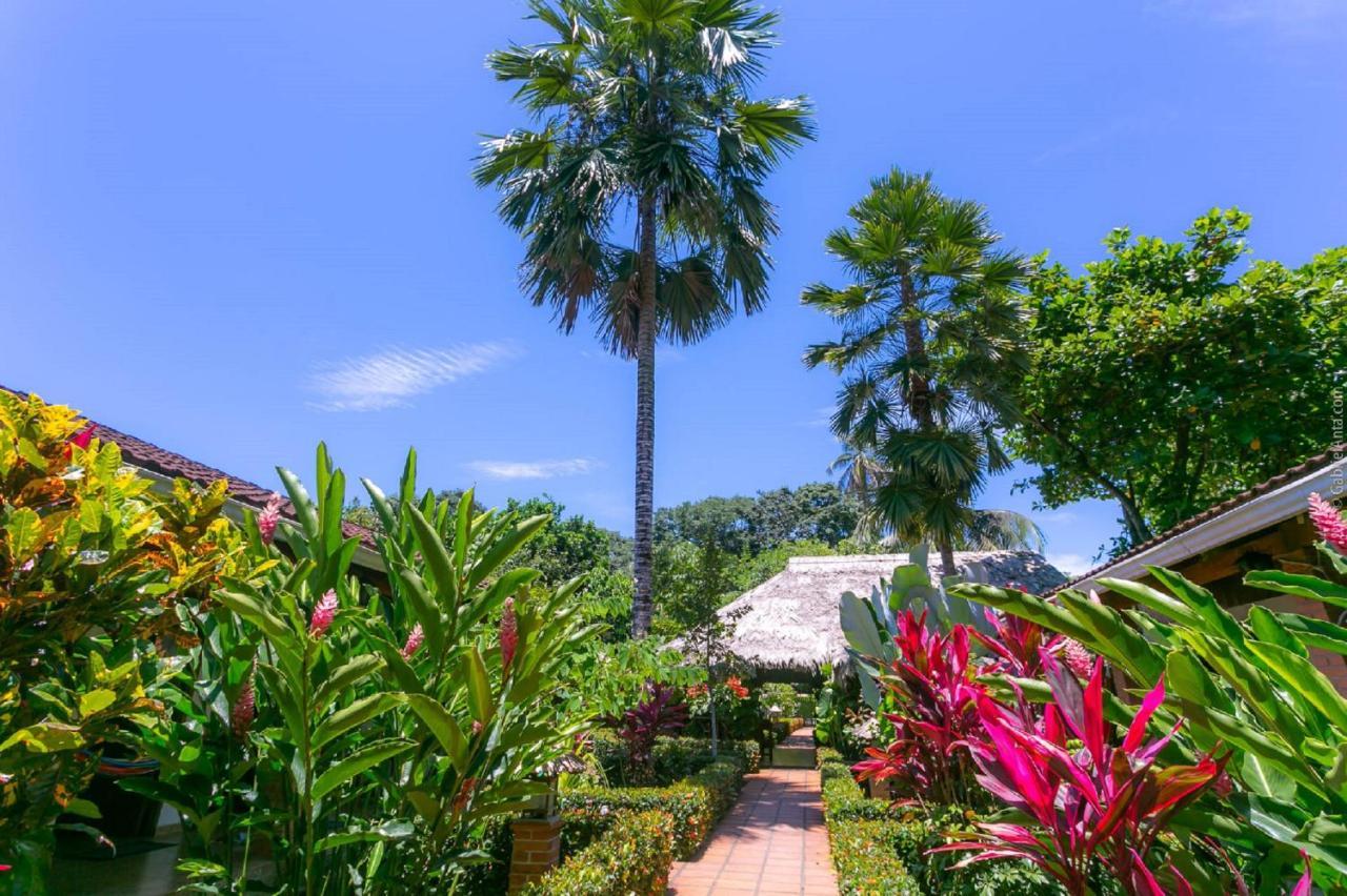 Escape Caribeno Hotel Puerto Viejo de Talamanca Ngoại thất bức ảnh